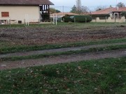 Public feet humiliation 15/16