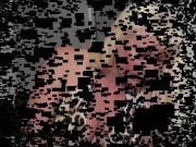 bizarrlady jessica feeding slave bobby with cheese from her feet 1/16