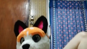Paw time