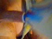 balloons - Screenshot 12 of 16 - Kink