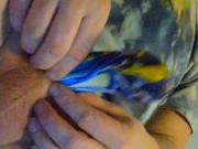 more balloons - Screenshot 13 of 16 - Masturbate