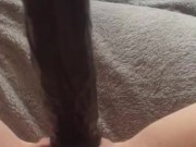 Fucking my tight pink pussy with moms huge bbc dildo & squirting everywhere 6/16