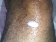 Stump on stump oil play 14/16