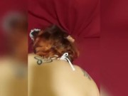 Slutty Maid gets tied to bed  14/16