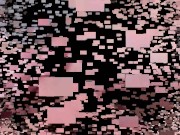 bobby smell the feet of sandy and petra 16/16