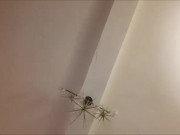 Belle francaise avaleuse de sperme bien chaud 3/16