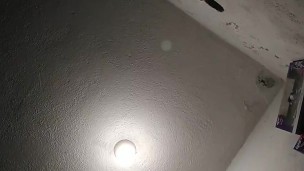 Bunny girl suit blowjob sex machine