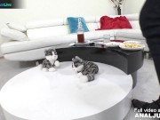 Amirah Adara, Misha Cross - in a new scene by Only3x Just Anal 2/16