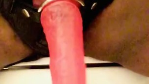 Strap on Toilet Goddess