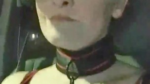Collared and Leashed Driving Through Town
