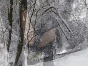 heisse Pinkelaktion im Winter Wunderland