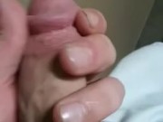 big white cock