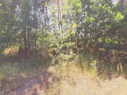 ЗАБЫЛА НАДЕТЬ ТРУСИКИ ДАЛА НЕЗНАКОМЦУ НАПОЛНИТЬ МОЮ КИСКУ - Screenshot 6 of 16 - HD