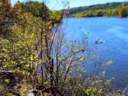 Fucking in a State Park and almost getting caught!