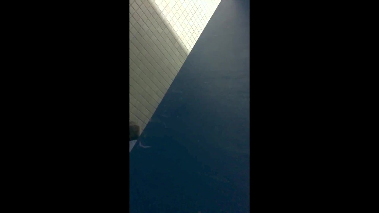 Understall College Bathroom BJ with CUM swallowed - RedTube