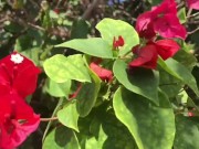 Gina Gerson enjoy sexy life 7/16