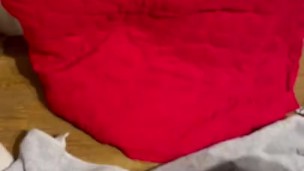 Not so big dick can hang in there 