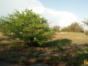 fucked a cute schoolgirl on a motorcycle and came in her mouth and on her face 5/16