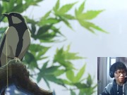 老司机的保健知识，你的腰还在吗？？ 16/16