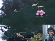 老司机的保健知识，你的腰还在吗？？ 8/16