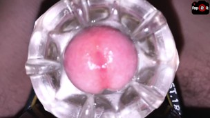 Hot Guy Cumming Alot Inside of Fleshlight While Moaning Loud - 4K