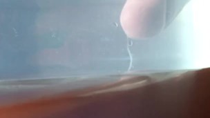 オナニーして水中にどぴゅどぴゅ射精してみた　水中に大量射精