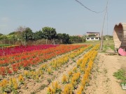 Sex vlog, Thailand mountain Masturbation in outdoor with beautiful big boobs girl & creampied 6/16