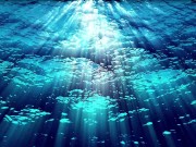 Ask Eve - What the Hell is a Period?- Advice Series by Eve's Garden female anatomyeducational 1/16