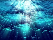 Ask Eve - What the Hell is a Period?- Advice Series by Eve's Garden female anatomyeducational 10/16