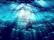 Ask Eve - What the Hell is a Period?- Advice Series by Eve's Garden female anatomyeducational 11/16