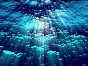 Ask Eve - What the Hell is a Period?- Advice Series by Eve's Garden female anatomyeducational 12/16