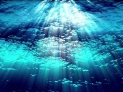 Ask Eve - What the Hell is a Period?- Advice Series by Eve's Garden female anatomyeducational 13/16