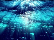 Ask Eve - What the Hell is a Period?- Advice Series by Eve's Garden female anatomyeducational 16/16