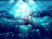 Ask Eve - What the Hell is a Period?- Advice Series by Eve's Garden female anatomyeducational 3/16