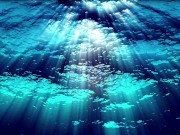 Ask Eve - What the Hell is a Period?- Advice Series by Eve's Garden female anatomyeducational 6/16