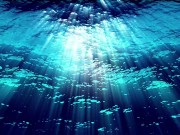 Ask Eve - What the Hell is a Period?- Advice Series by Eve's Garden female anatomyeducational 7/16