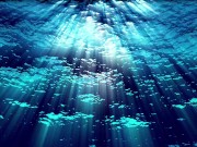 Ask Eve - What the Hell is a Period?- Advice Series by Eve's Garden female anatomyeducational 8/16