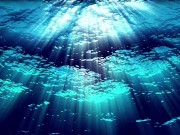 Ask Eve - What the Hell is a Period?- Advice Series by Eve's Garden female anatomyeducational 9/16