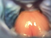 fucked dragon in the ass 14/16