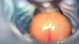 fucked dragon in the ass