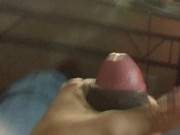 Black Cock Up Close 8/16