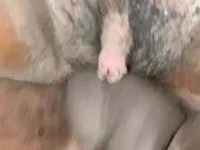 Pussy Got Wet On The Dick 3/16