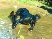 Wet and Messy Fetish video 16/16