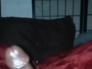 Stroking tone - Screenshot 15 of 16 - Bbc