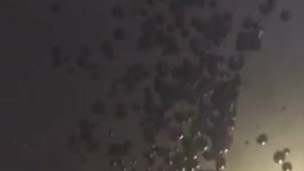 Huge 30 Second Cumshot from a Hard Young Penis