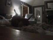 living room fucking 7/16