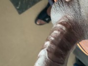 DaBlackberryCurv
