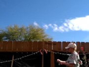 Working Hard On Yard