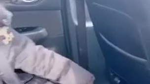 浪漫的人妻