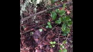 Pissing Fun on a Hike
